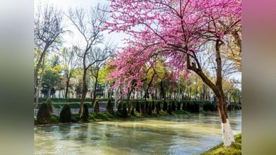 'O`zbekiston hududlari bo`ylab 6-7 aprel qanday ob-havo bo`lishi ma`lum qilindi'ning rasmi