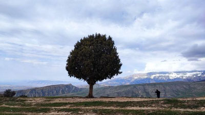 Изрображение 'Режиссер Аюб Шахобиддинов начал работу над новым фильмом'