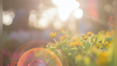 'Ertaga havo harorati 38 darajagacha ko`tariladi'ning rasmi