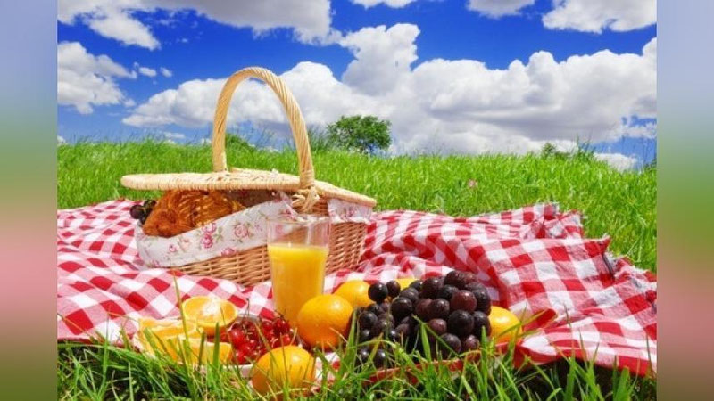 Изрображение 'ПРИРОДА ЗОВЕТ: ПРАВИЛА ЭКОНОМНОГО ПИКНИКА'