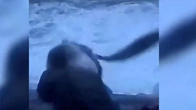 Изрображение 'В Норвегии метеоролога во время съемки репортажа «нокаутировала» селедка (видео)'