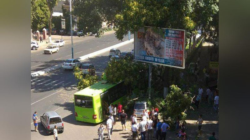Изрображение 'В ТАШКЕНТЕ ПАССАЖИРСКИЙ АВТОБУС ВРЕЗАЛСЯ В ДЕРЕВО, ЕСТЬ ПОСТРАДАВШИЕ (ФОТО, ВИДЕО)'