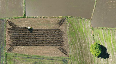 Изрображение 'Предприятия с/x машиностроения перенесут из Ташкента в Чирчик'