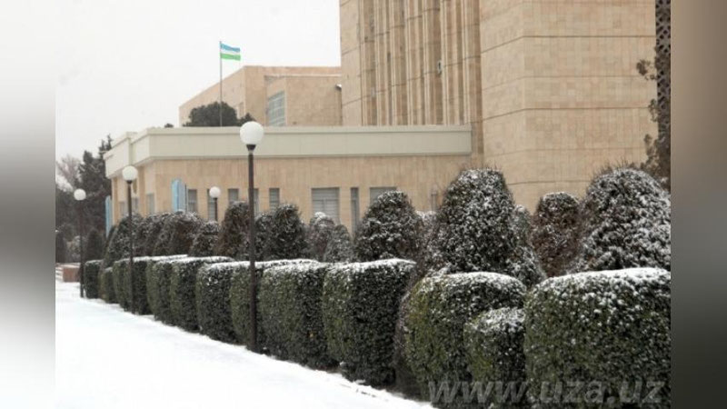 Изрображение 'В СУРХАНДАРЬИНСКОЙ ОБЛАСТИ ОТКРЫЛИСЬ ТРИ ФИЛИАЛА ВУЗОВ'