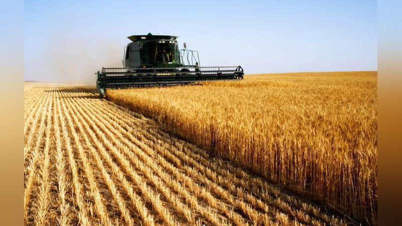 'Bekobodda 237,7 mln so`mlik byudjet mablag`lari talon-toroj qilingan'ning rasmi