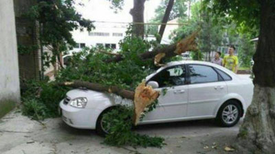 'Тошкентда бугун эсган кучли шамолнинг оқибатлари (фото+видео)'ning rasmi