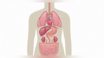 'Ro`zaning tanamizga ta`sirini bilasizmi?'ning rasmi