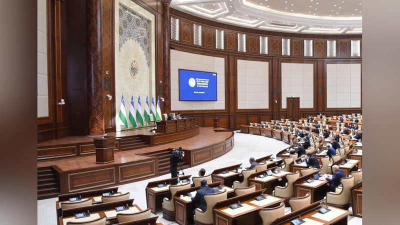 Изрображение 'Сенат в Узбекистане одобрил переход на смешанную избирательную систему'