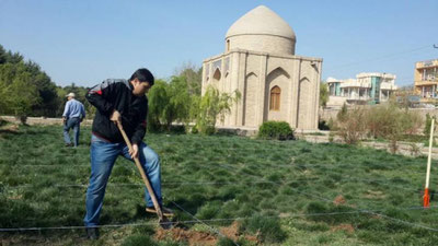 'Ҳиротдаги Алишер Навоий зиёратгоҳи атрофида боғ барпо қилинди'ning rasmi