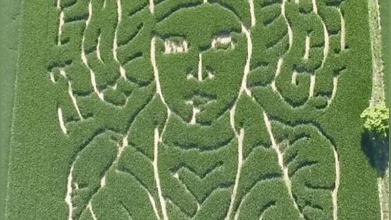 Изрображение 'ФЕРМЕР "НАРИСОВАЛ" НА КУКУРУЗНОМ ПОЛЕ ПОРТРЕТ ПРИНЦЕССЫ ЛЕИ'