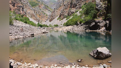 '“Urung`och” ko`li yaqinidagi postda forma kiygan xodimlar Bosh vazir nomini sotib, “rosa pul qilishayotgani”ga munosabat bildirildi (video)'ning rasmi