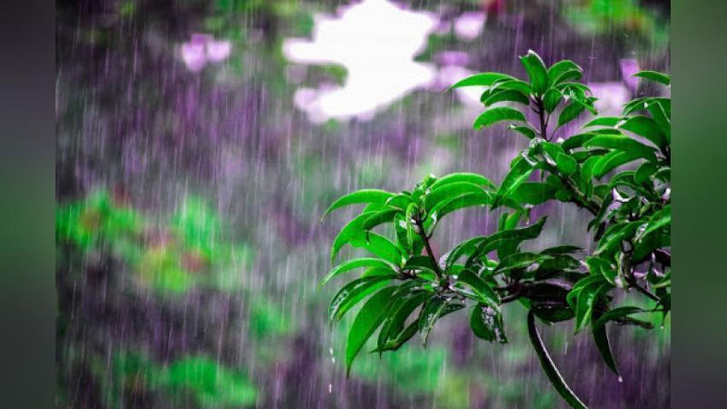 'Bugun O`zbekistonning 6 ta viloyatida yomg`ir yog`ib, momaqaldiroq bo`ladi'ning rasmi