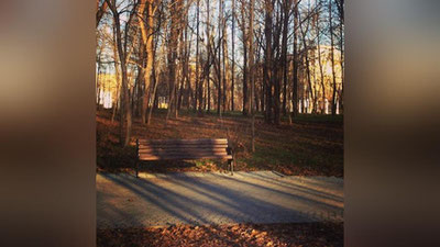 'Қишнинг иккинчи куни Ўзбекистонда ҳаво 28 даражагача исийди'ning rasmi