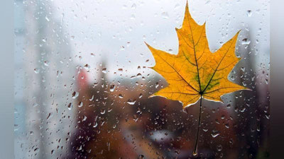 '23 noyabr kuni kutilayotgan ob-havo ma`lumoti'ning rasmi