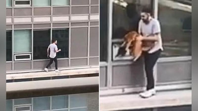 'Mushukni qutqarish uchun o`z jonini xatarga qo`ydi (Video) 'ning rasmi