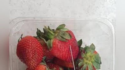 'Qulupnay mevasi ichiga igna sanchib qo`ygan shaxs aniqlandi'ning rasmi