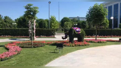 Изрображение 'В ТАШКЕНТЕ СТАРТОВАЛ ЛАНДШАФТНЫЙ ФЕСТИВАЛЬ (ВИДЕО)'