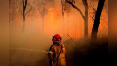 'Sidney elektr ta`minotdan butunlay uzilib qoldi 'ning rasmi