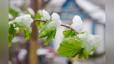 'Бугун тоғ олди ва тоғли ҳудудларда вақти-вақти билан қор ёғиши мумкин'ning rasmi