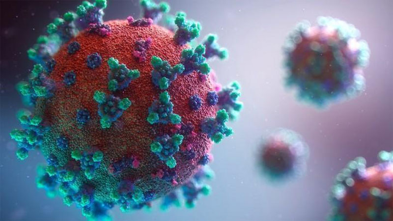 Изрображение 'Новый подвариант коронавируса в ближайшее время станет доминирующим вариантом по всему миру'