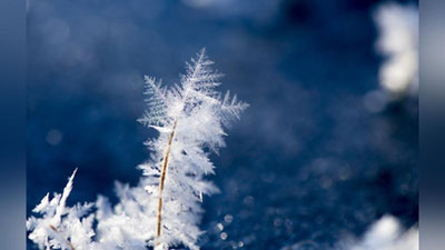 '14 fevralda qanday ob-havo kuzatiladi?'ning rasmi