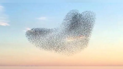 Изрображение 'В Каракалпакстане сняли на видео завораживающее природное явление'