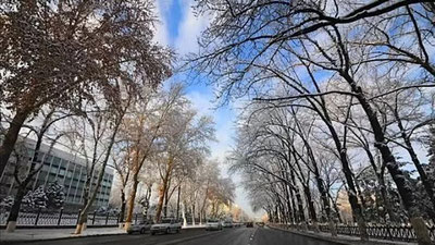 '6 февраль куни кутилаётган об-ҳаво маълумоти'ning rasmi