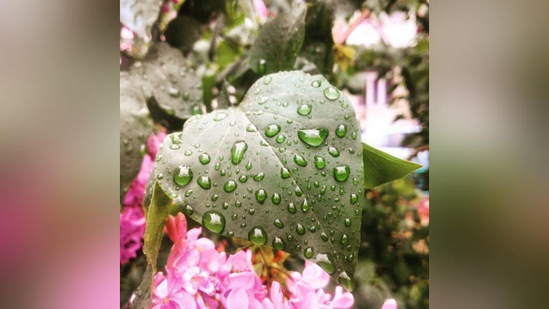 '24 апрель куни кутилаётган об-ҳаво маълумоти'ning rasmi