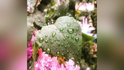 '24 апрель куни кутилаётган об-ҳаво маълумоти'ning rasmi