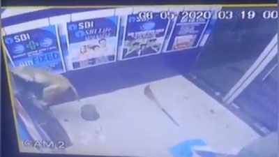 Изрображение 'В Индии обезьяна взломала банкомат (видео)'