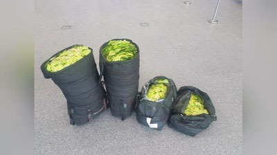 '​Bojxonachilar 392 million so`mlik dori vositalarini to`xtatib qolishdi'ning rasmi