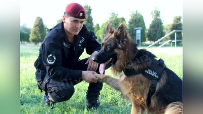 'Gvardiyachi kinologlar sertifikatga ega bo`ldi'ning rasmi