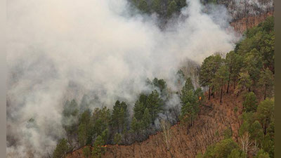 'Ўрмонда рўй берган ёнғинда чет эллик сайёҳлар ҳалок бўлди'ning rasmi