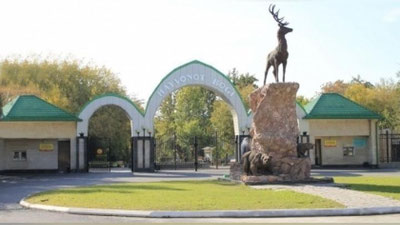 Изрображение 'Репортаж из Ташкентского зоопарка, возобновившего свою деятельность (видео)'