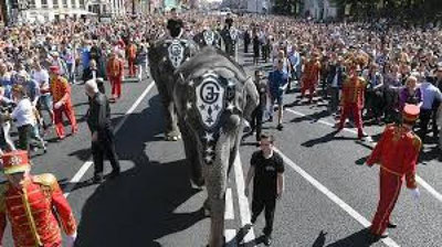 'Rossiyada fillar paradi bo`lib o`tdi'ning rasmi