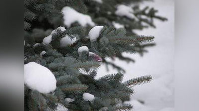 '13 январь куни кутилаётган об-ҳаво маълумоти'ning rasmi