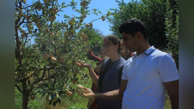 'Turkiyalik talabalar o`zbekistonlik yoshlar bilan  qishloq xo`jaligi sohasida tajriba almashdi'ning rasmi