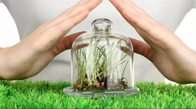 'O`zbekistonda Botanika instituti faoliyati takomillashtirildi'ning rasmi