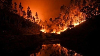 'Сибирни кенг кўламли ўрмон ёнғинлари қоплади'ning rasmi