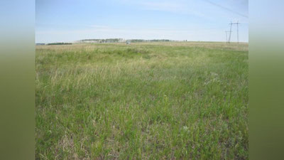 Изрображение 'В Узбекистане отменяются все льготы по прямому выделению земельных участков'