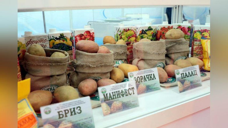 Изрображение 'ФОТО: ЧТО ПРЕДСТАВИЛИ БЕЛОРУССКИЕ ПРОИЗВОДИТЕЛИ В ТАШКЕНТЕ'