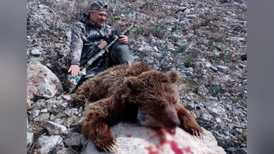 Изрображение 'Госкомэкологии об отстреле краснокнижного бурого медведя: "Закон полностью соблюден"'