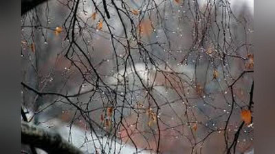 'Bugun ayrim O`zbekistonning hududlarida yomg`ir yog`adi'ning rasmi