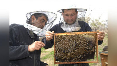 '​PREZIDENT QARORI BILAN “O`ZBEKISTON ASALARIChILARI” UYuShMASI TAShKIL ETILDI'ning rasmi