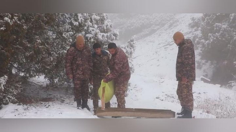 Изрображение 'В заповедники и природные парки доставляется корм для животных (фото, видео)'