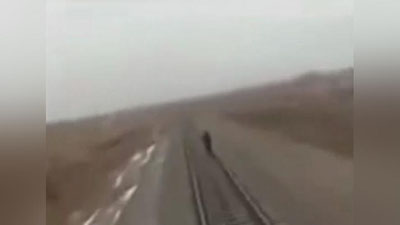 Изрображение 'В Ташкенте на железной дороге произошло два несчастных случая (видео)'