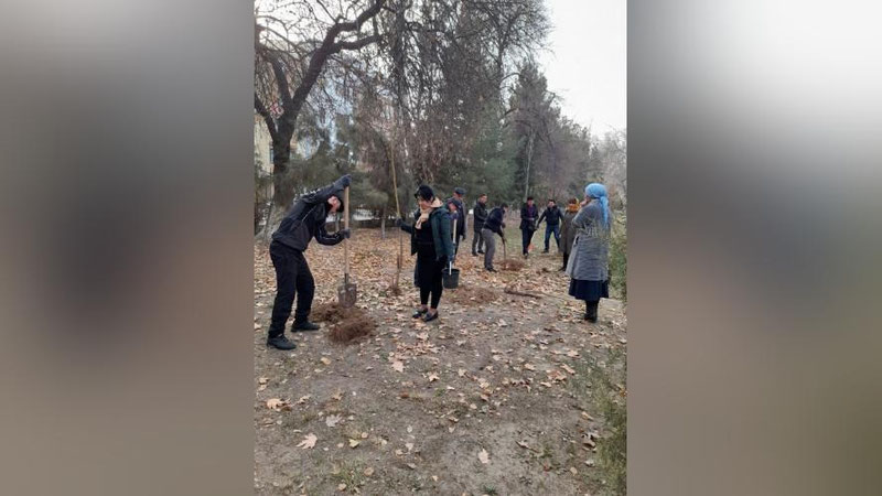 'Madaniy meros agentligi xodimlari ham  "Yashil makon"da faol qatnashdi'ning rasmi