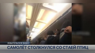 Изрображение 'Казахстанский самолет столкнулся со стаей птиц: паника в салоне попала на видео'