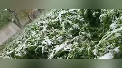 Изрображение 'В ряде регионов Узбекистана выпал снег (видео)'