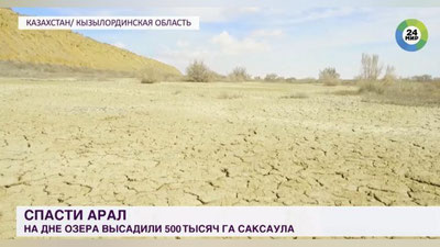 Изрображение 'На дне Арала высадили 500 тысяч гектаров саксаула (видео)'